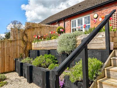 Picture 26